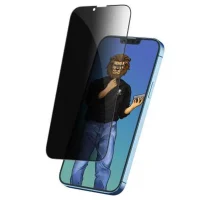 محافظ صفحه نمایش شیشه ای حریم شخصی آیفون 14 گرین Green iPhone 14 9H Steve Privacy Anti-Peeping Full Glass
